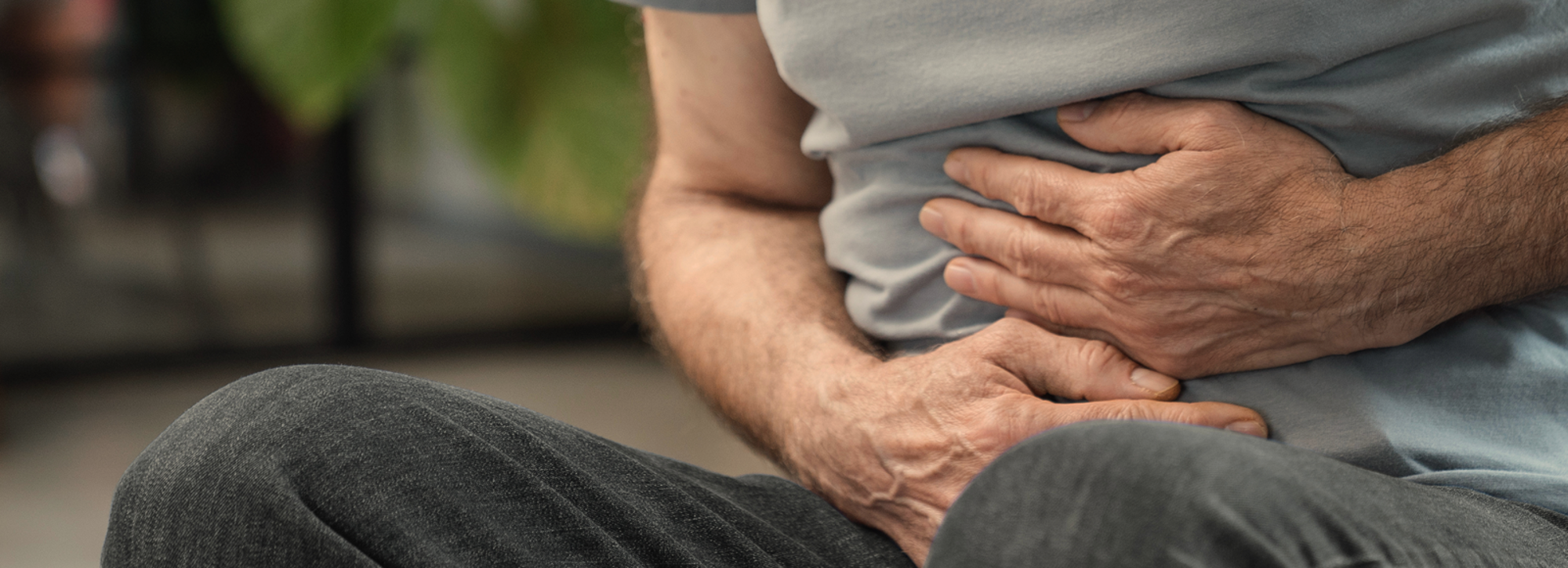 SJH_Web_Header_Image_GASTRO.png