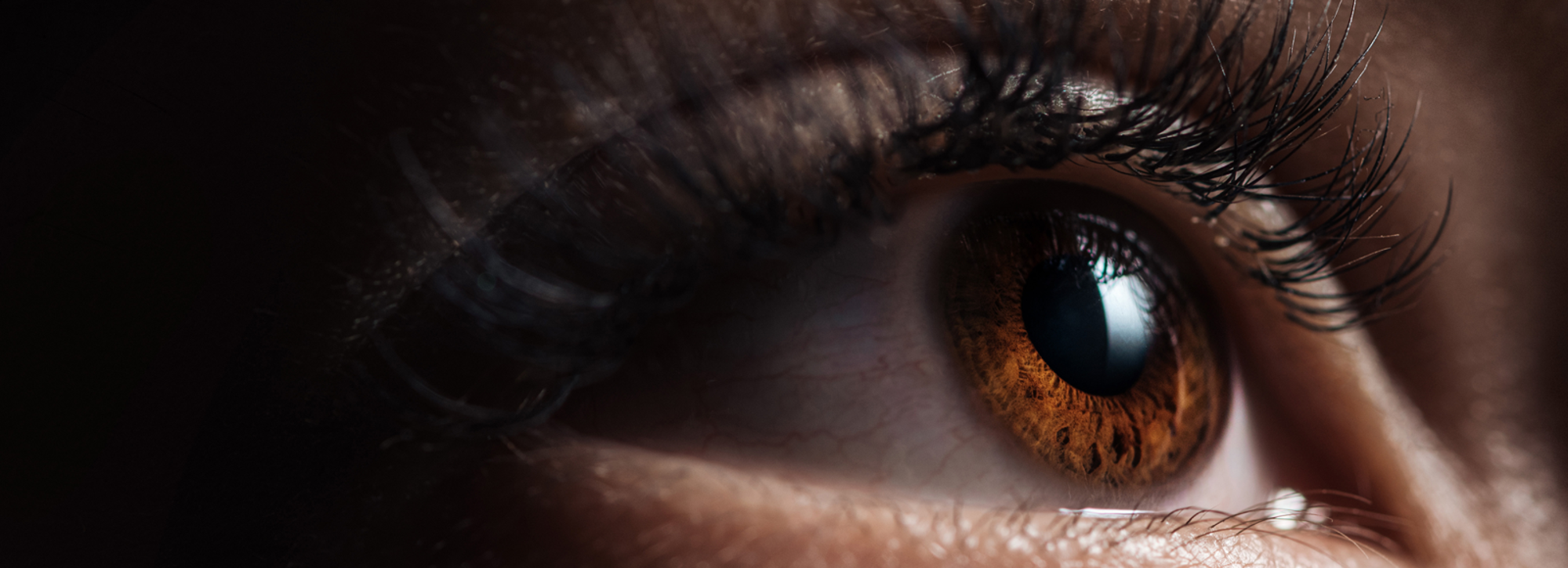 SJH_Web_Header_Image_EYE_CLINIC.png